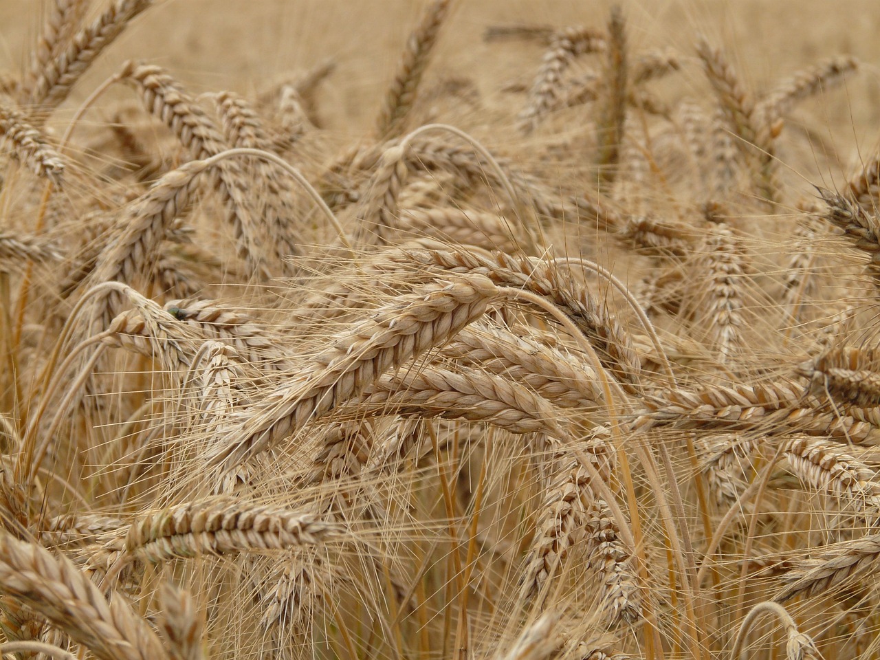 The Importance of Land Conservation in Sustainable Living
